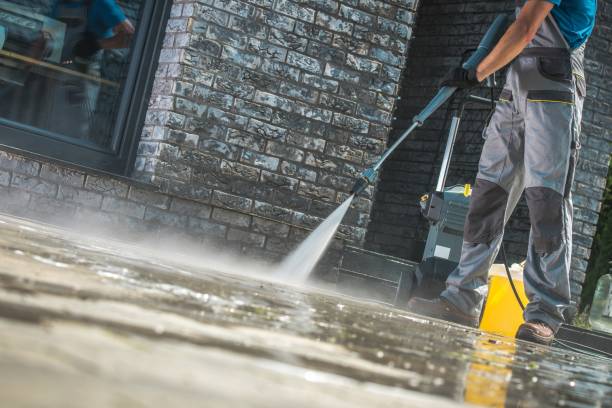 Animal Enclosure Cleaning in Murphy, TX